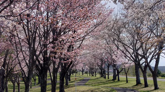 Shiribetsugawa Lan Lan Park