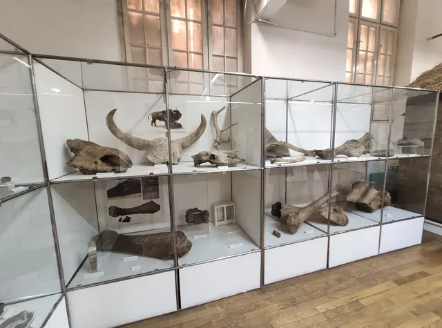 Regional Museum Jagodina