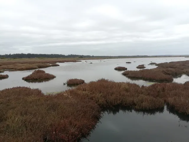 El Yali National Reserve