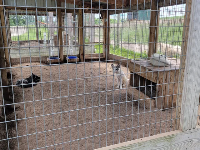 Trowbridge Creek Zoo