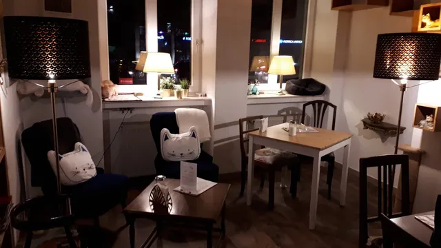 Cat Café Miezhaus / Bielefeld
