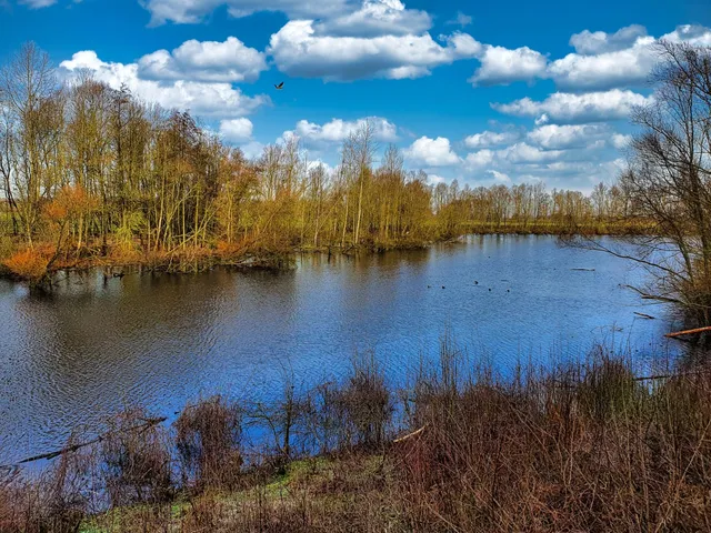 RVR Nature Bislicher Island