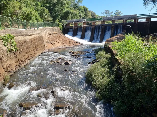 Parque Municipal Arthur Thomas