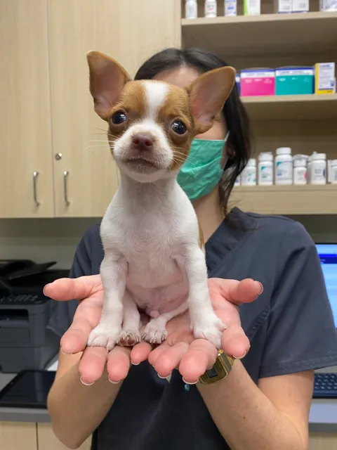 Vetco Total Care Animal Hospital