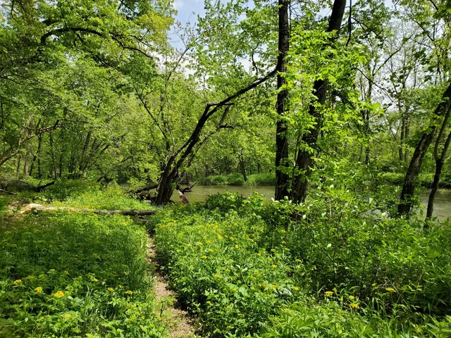MacQueen Forest Preserve