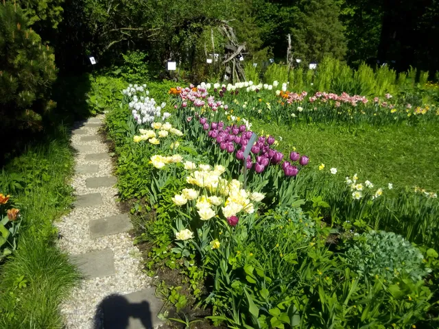 Botanicheskiy Sad Tverskogo Gosuniversiteta