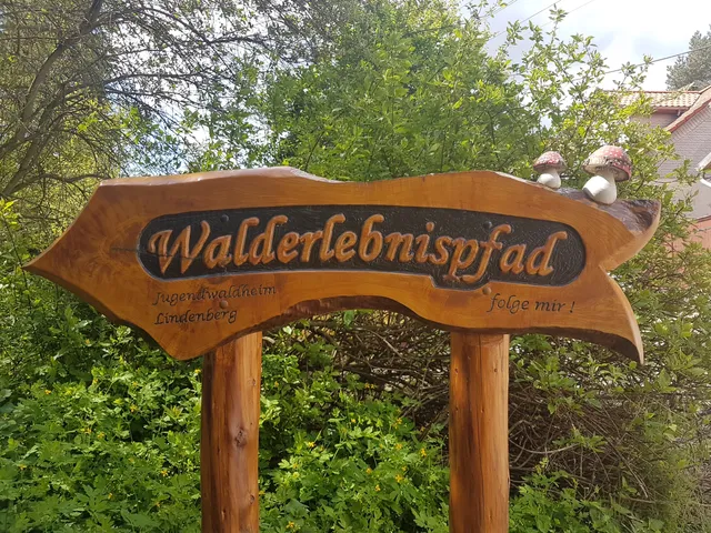 Sonderstempel HWN 9919, Waldlehrpfad Heimburg