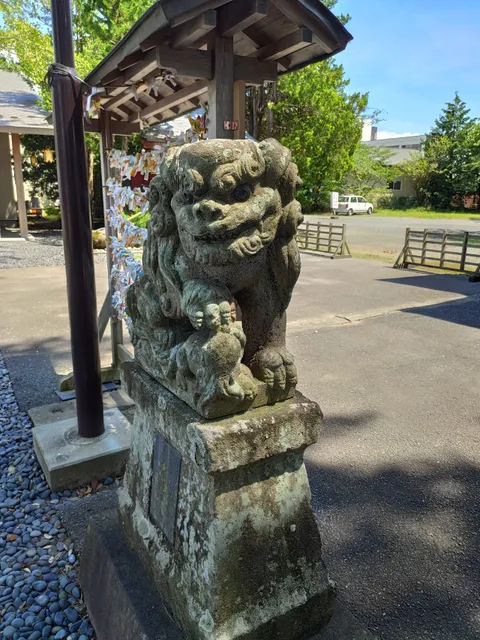 photo-2