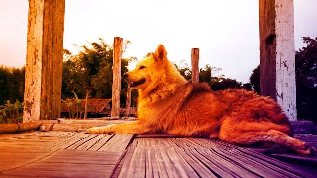 Parque Municipal Lagoa das Bateias