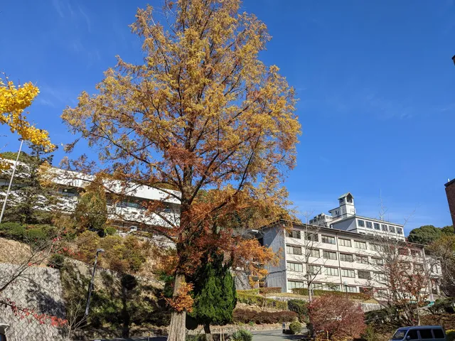 Hiroshima Jogakuin University