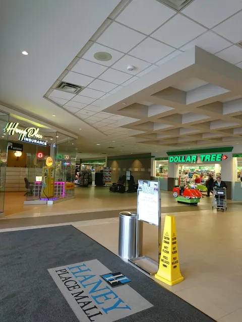 Haney Place Mall