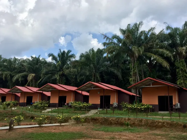 Khao Sok Evergreen House