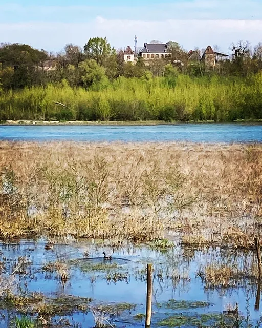 Réserve Ornithologique de Bas Rebourseaux