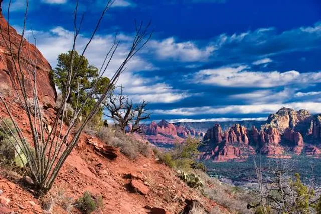 Sedona Airport Loop Trail