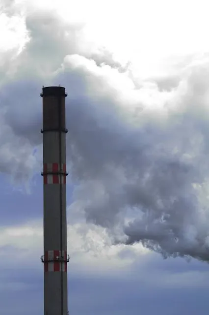 The Wilds - East Wilds