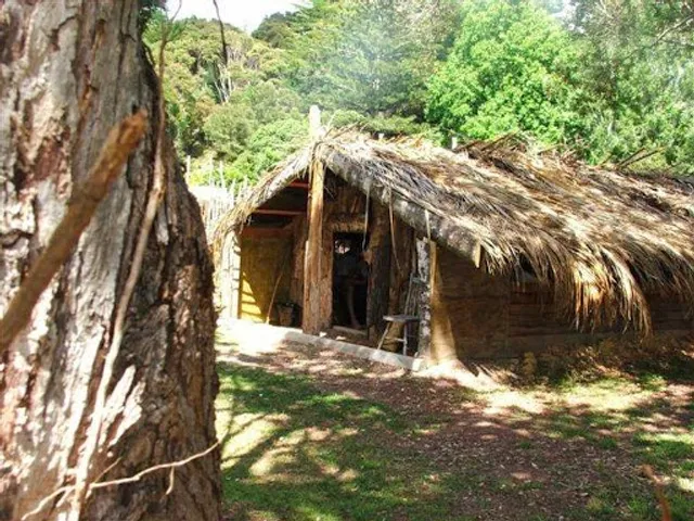 photo-1
