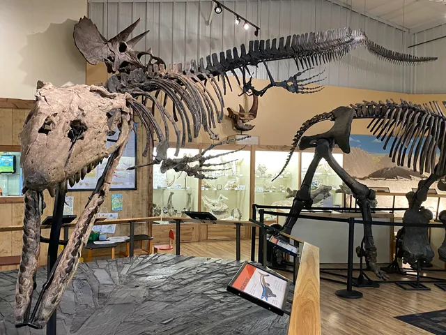 World Fossil Finder Museum