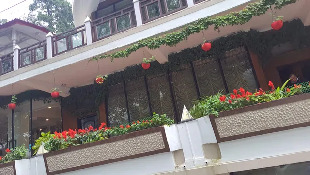 Woods Restaurant Alka Hotel