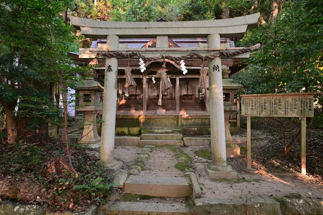 photo-2