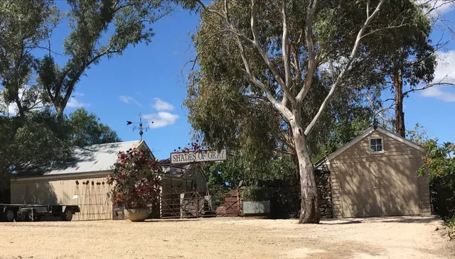 Shades of Gray Studio Gallery