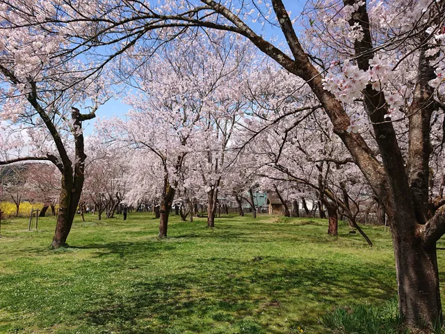 Sakurano Park