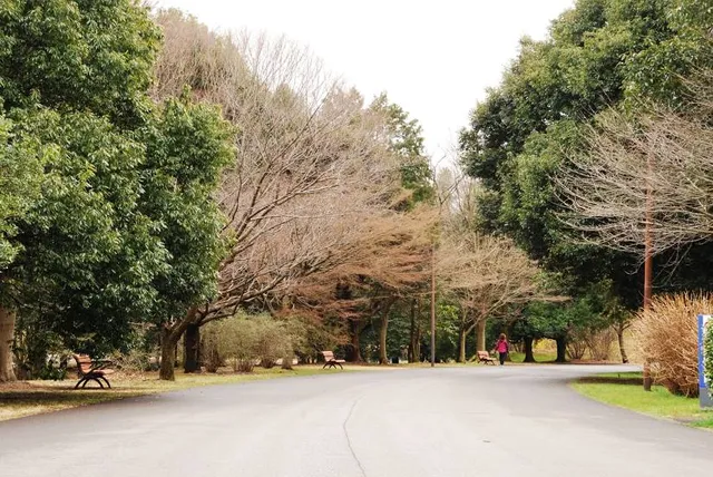 Hyogo Prefectural Tamba Namikimichi Central Park