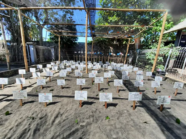 Kurma Asih Sea Turtle Conservation Center