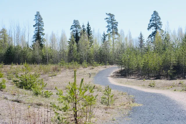 Suomies Nature Trail