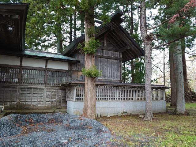 photo-1