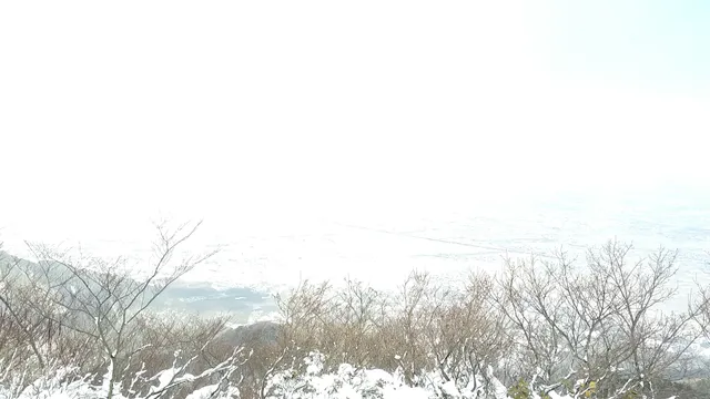 photo-2