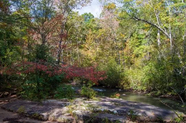 Line Creek Nature Area