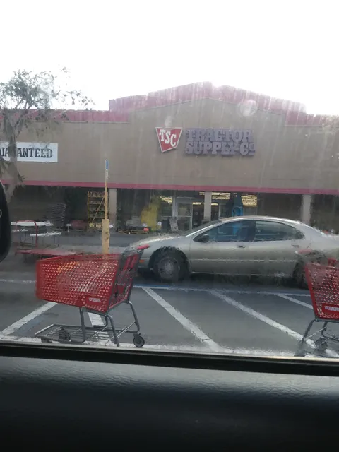 Collins Park Commons