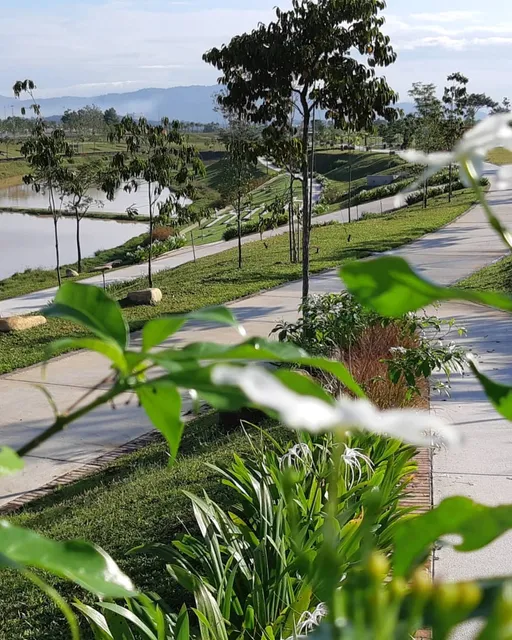 Elmina Valley - Central Park