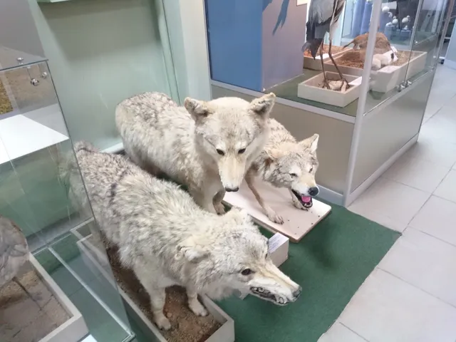 Muzey Im. M.tynyshpayeva