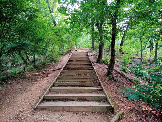 Seoul Grand Park Forest Park