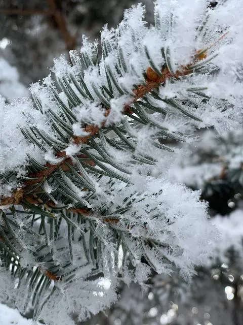 Park Na Vulytsi Vinnytsʹkiy