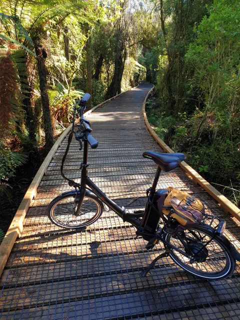 Kawatiri Coastal Trail