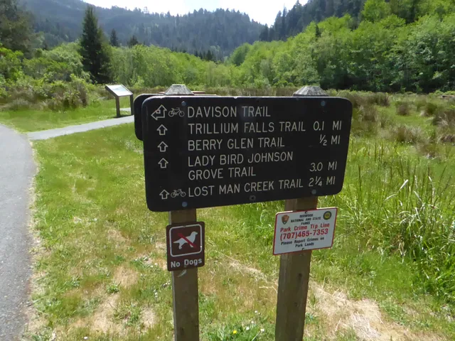 Elk Meadow Picnic Area