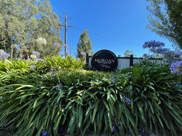 Morgans Winery & Distillery