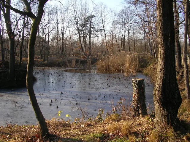 Laghetti Della Mordina