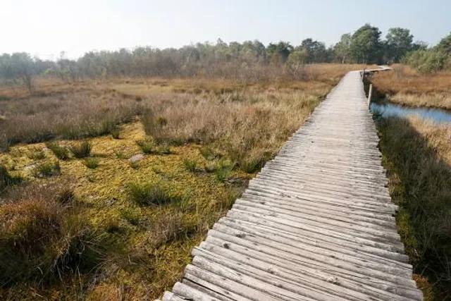 De Groote Peel National Park