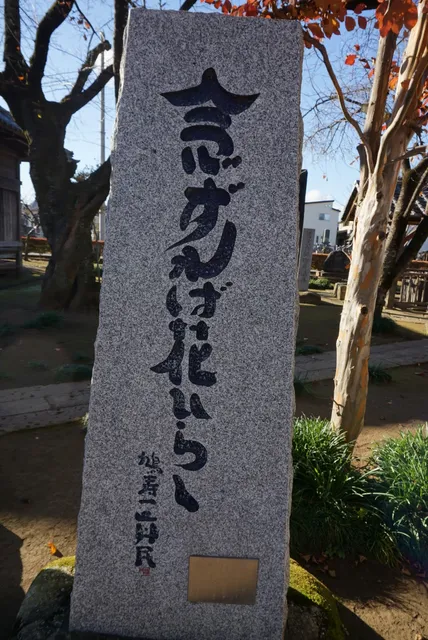 photo-1