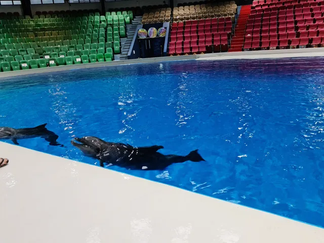 Dubai Dolphinarium