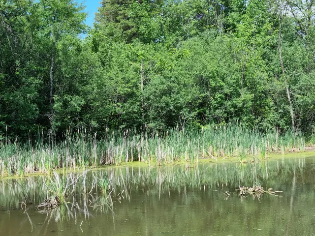 Parking for Tom Taylor Trail Northbound