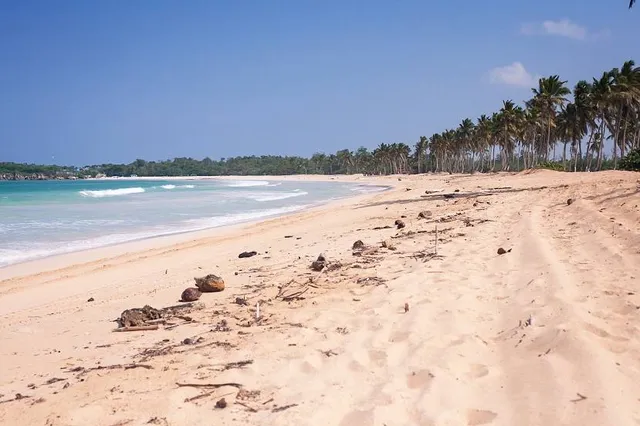 Praia da Laje - Ecological Route Miracles
