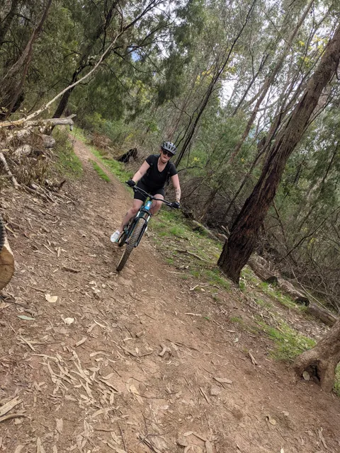 Big Hill Mountain Bike Park