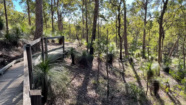 Chermside Hills Reserve