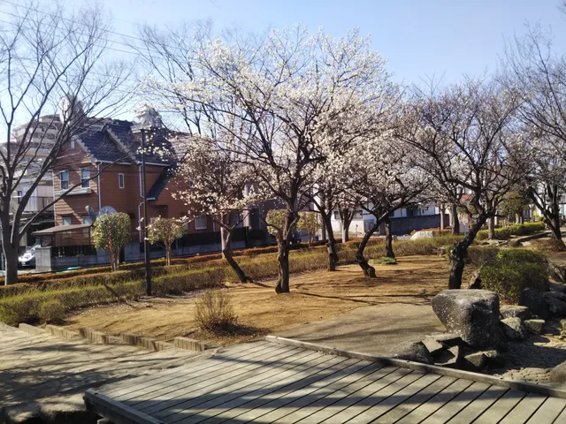 Matsunoki Park