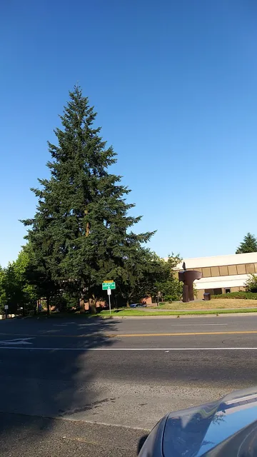 Kirkland Way Park & Ride