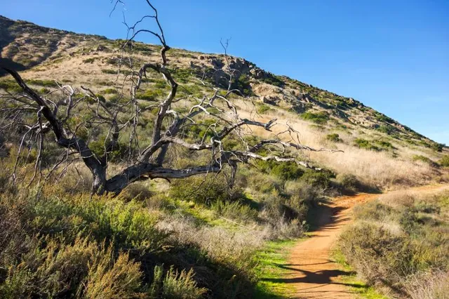 Bernardo Mountain Summit Trail - Access Road